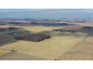 Allen County, Indiana Farmland - LAND AUCTION - 115+/- ACRES OFFERED IN 2 TRACTS IN ALLEN COUNTY, INDIANA