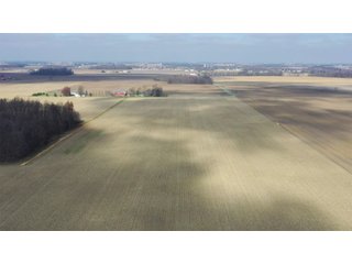 Allen County, Indiana Farmland - LAND AUCTION - 115+/- ACRES OFFERED IN 2 TRACTS IN ALLEN COUNTY, INDIANA