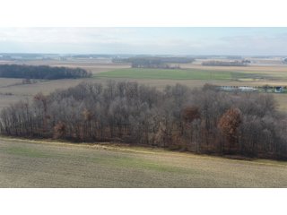 Allen County, Indiana Farmland - LAND AUCTION - 115+/- ACRES OFFERED IN 2 TRACTS IN ALLEN COUNTY, INDIANA