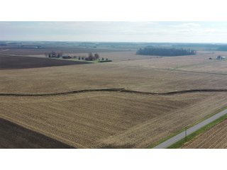 Allen County, Indiana Farmland - LAND AUCTION - 115+/- ACRES OFFERED IN 2 TRACTS IN ALLEN COUNTY, INDIANA