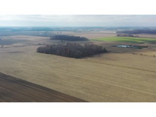 Allen County, Indiana Farmland - LAND AUCTION - 115+/- ACRES OFFERED IN 2 TRACTS IN ALLEN COUNTY, INDIANA