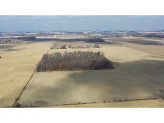 Allen County, Indiana Farmland - LAND AUCTION - 115+/- ACRES OFFERED IN 2 TRACTS IN ALLEN COUNTY, INDIANA
