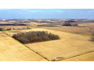 Allen County, Indiana Farmland - LAND AUCTION - 115+/- ACRES OFFERED IN 2 TRACTS IN ALLEN COUNTY, INDIANA