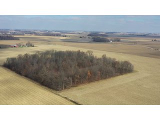 Allen County, Indiana Farmland - LAND AUCTION - 115+/- ACRES OFFERED IN 2 TRACTS IN ALLEN COUNTY, INDIANA