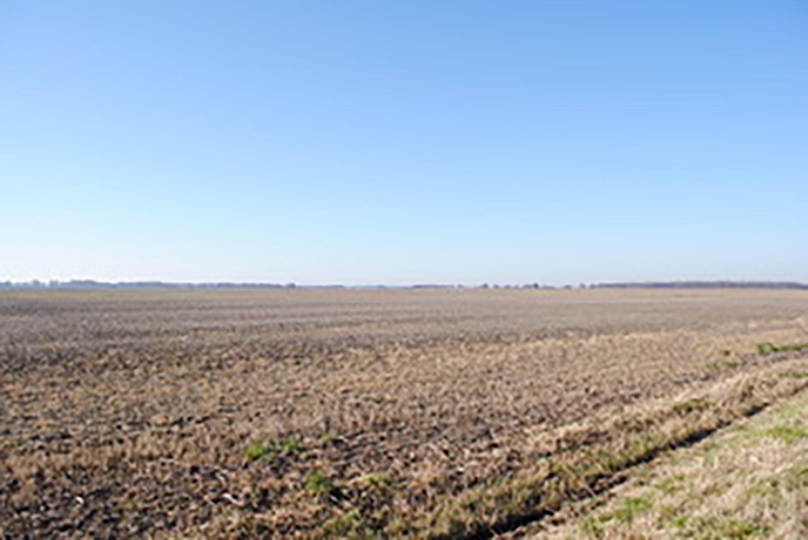 Crawford & Marion Counties, Ohio Farmland - IMPORTANT OHIO LAND AUCTION - 718+/- ACRES OFFERED IN 11 TRACTS IN MARION & CRAWFORD COUNTIES