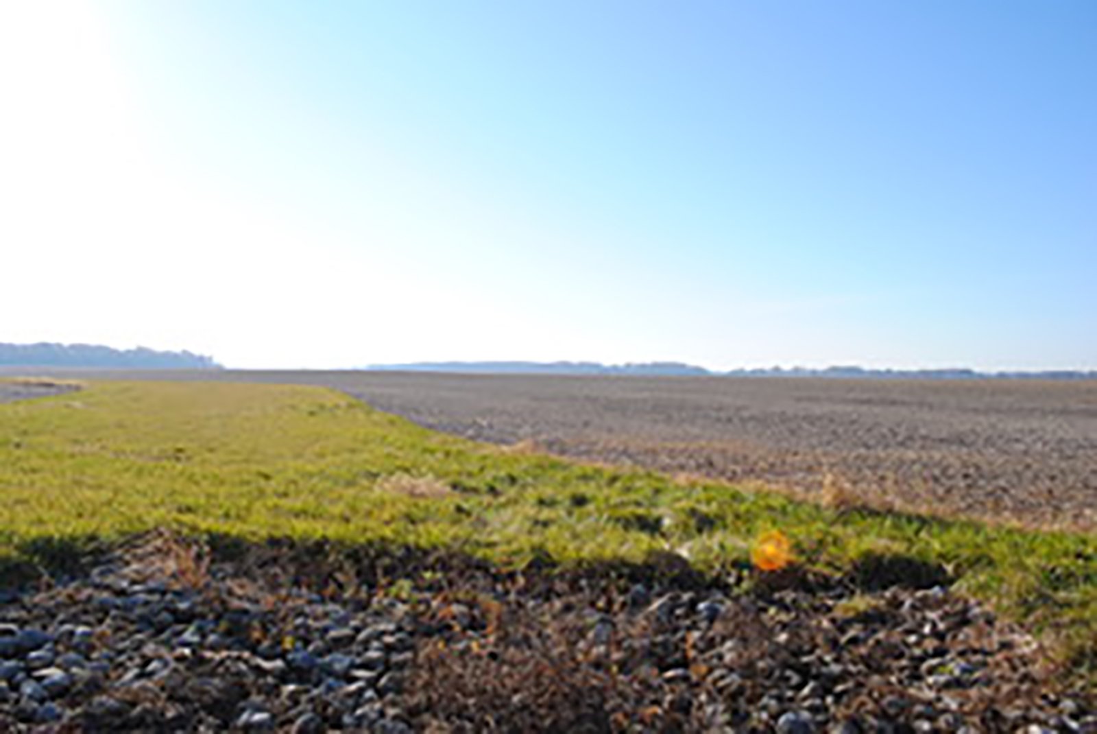 Crawford & Marion Counties, Ohio Farmland - IMPORTANT OHIO LAND AUCTION - 718+/- ACRES OFFERED IN 11 TRACTS IN MARION & CRAWFORD COUNTIES