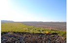 Crawford & Marion Counties, Ohio Farmland - IMPORTANT OHIO LAND AUCTION - 718+/- ACRES OFFERED IN 11 TRACTS IN MARION & CRAWFORD COUNTIES