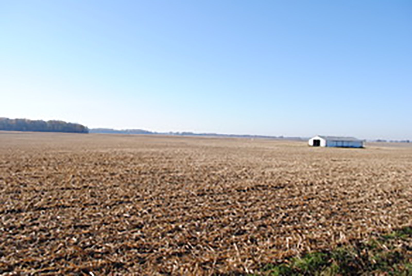 Crawford & Marion Counties, Ohio Farmland - IMPORTANT OHIO LAND AUCTION - 718+/- ACRES OFFERED IN 11 TRACTS IN MARION & CRAWFORD COUNTIES