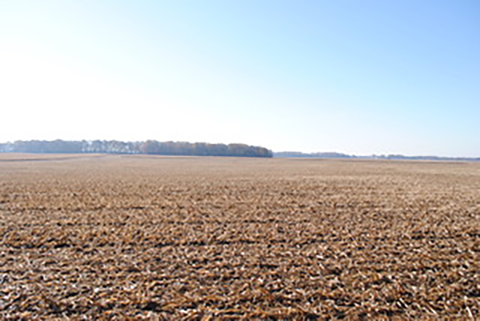 Crawford & Marion Counties, Ohio Farmland - IMPORTANT OHIO LAND AUCTION - 718+/- ACRES OFFERED IN 11 TRACTS IN MARION & CRAWFORD COUNTIES