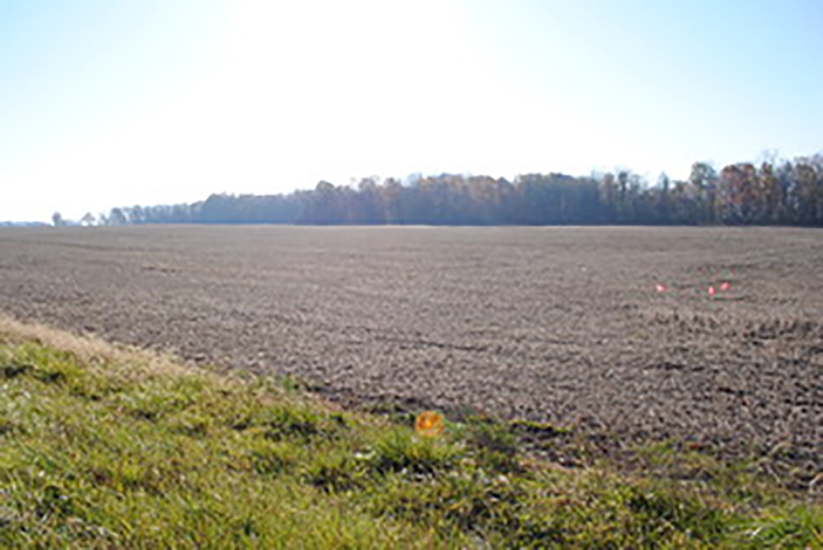 Crawford & Marion Counties, Ohio Farmland - IMPORTANT OHIO LAND AUCTION - 718+/- ACRES OFFERED IN 11 TRACTS IN MARION & CRAWFORD COUNTIES