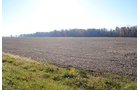 Crawford & Marion Counties, Ohio Farmland - IMPORTANT OHIO LAND AUCTION - 718+/- ACRES OFFERED IN 11 TRACTS IN MARION & CRAWFORD COUNTIES