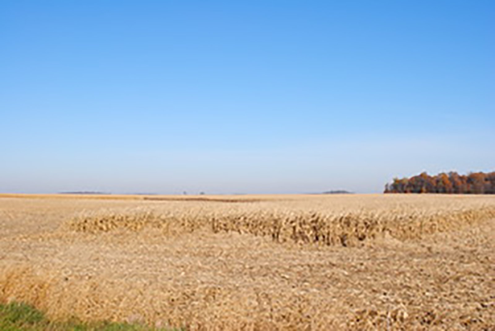 Crawford & Marion Counties, Ohio Farmland - IMPORTANT OHIO LAND AUCTION - 718+/- ACRES OFFERED IN 11 TRACTS IN MARION & CRAWFORD COUNTIES