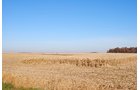 Crawford & Marion Counties, Ohio Farmland - IMPORTANT OHIO LAND AUCTION - 718+/- ACRES OFFERED IN 11 TRACTS IN MARION & CRAWFORD COUNTIES