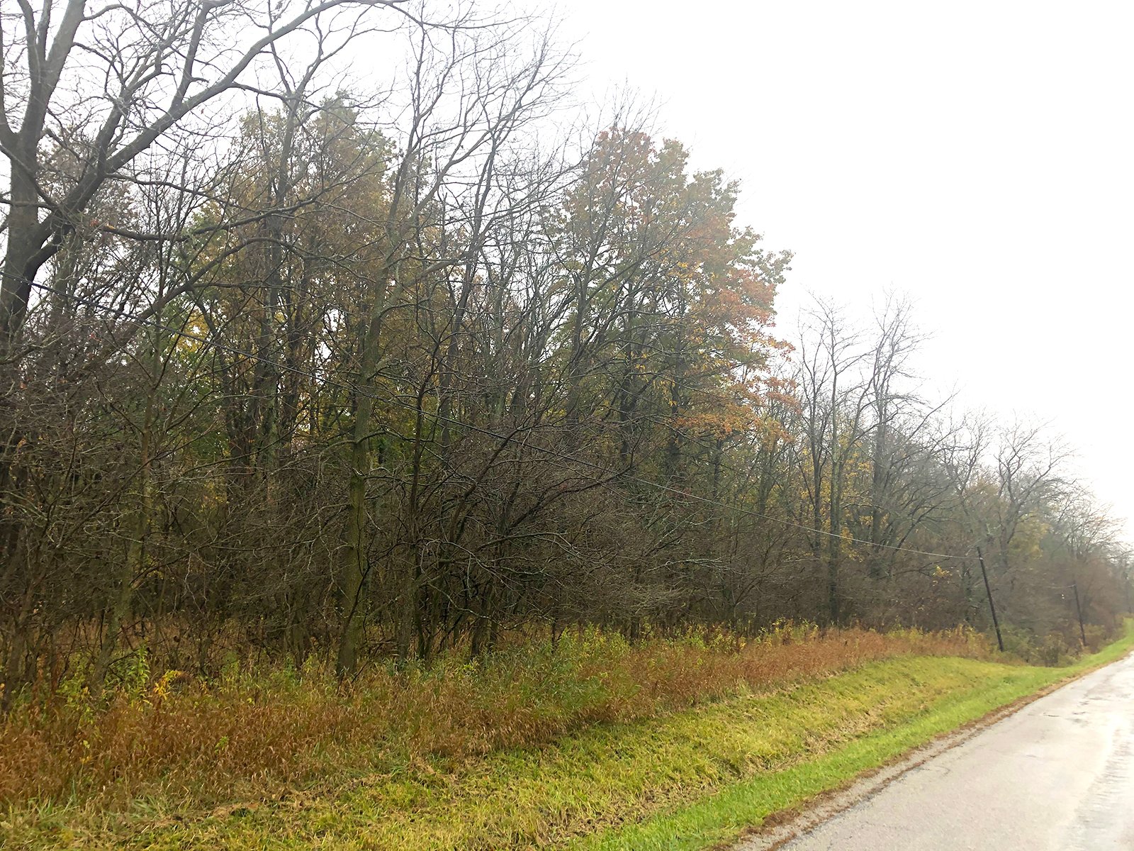 Crawford & Marion Counties, Ohio Farmland - IMPORTANT OHIO LAND AUCTION - 718+/- ACRES OFFERED IN 11 TRACTS IN MARION & CRAWFORD COUNTIES