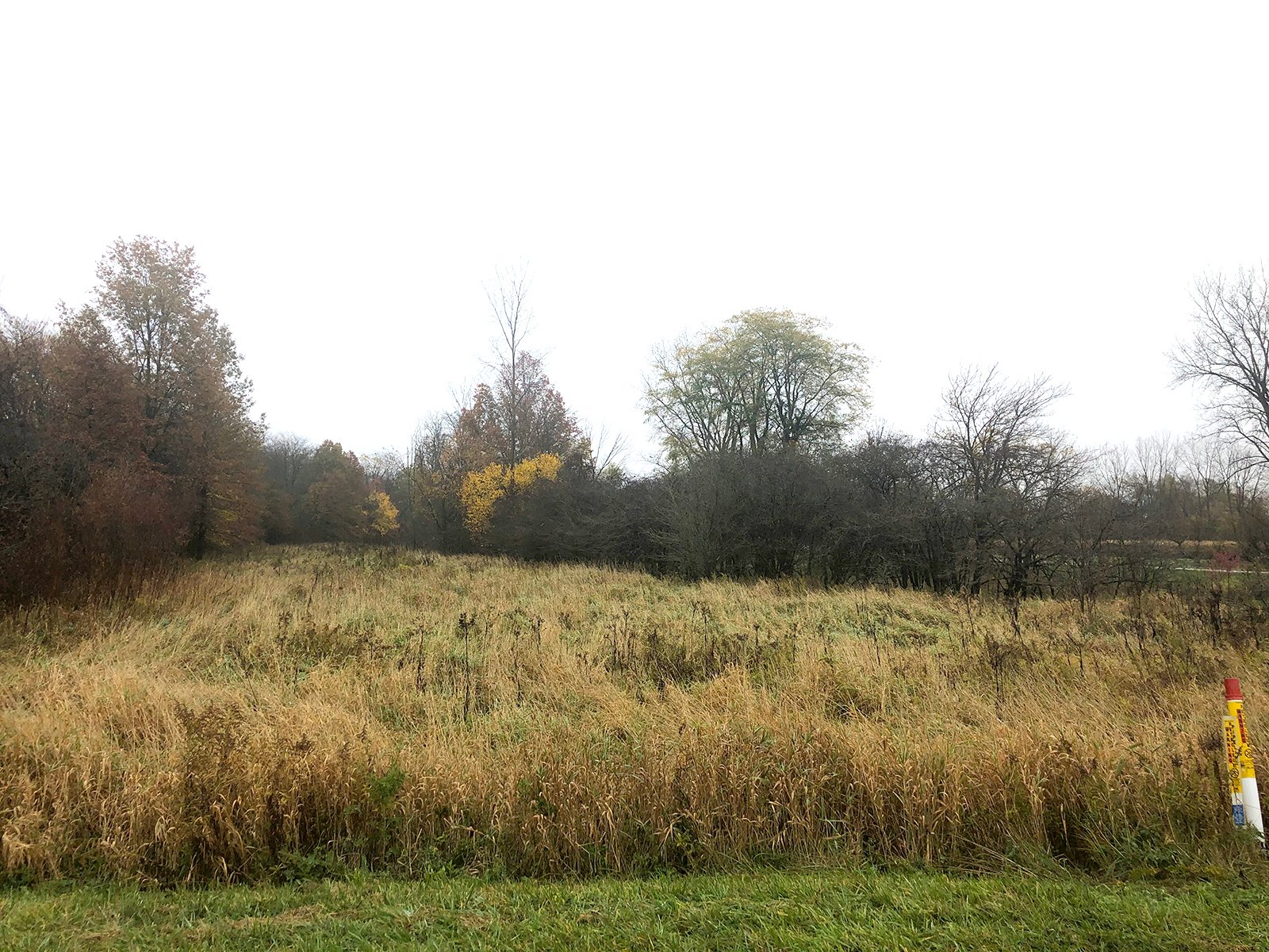Crawford & Marion Counties, Ohio Farmland - IMPORTANT OHIO LAND AUCTION - 718+/- ACRES OFFERED IN 11 TRACTS IN MARION & CRAWFORD COUNTIES