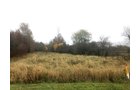 Crawford & Marion Counties, Ohio Farmland - IMPORTANT OHIO LAND AUCTION - 718+/- ACRES OFFERED IN 11 TRACTS IN MARION & CRAWFORD COUNTIES