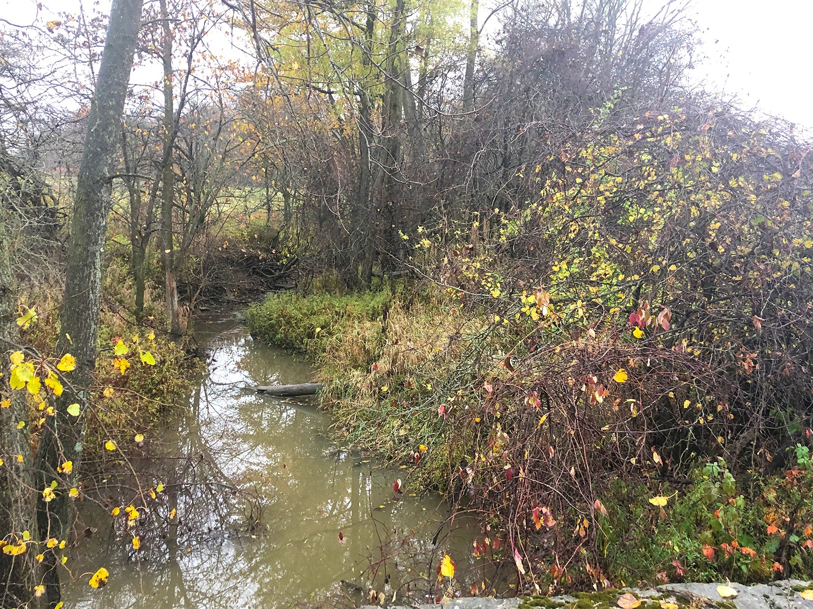 Crawford & Marion Counties, Ohio Farmland - IMPORTANT OHIO LAND AUCTION - 718+/- ACRES OFFERED IN 11 TRACTS IN MARION & CRAWFORD COUNTIES