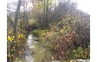 Crawford & Marion Counties, Ohio Farmland - IMPORTANT OHIO LAND AUCTION - 718+/- ACRES OFFERED IN 11 TRACTS IN MARION & CRAWFORD COUNTIES