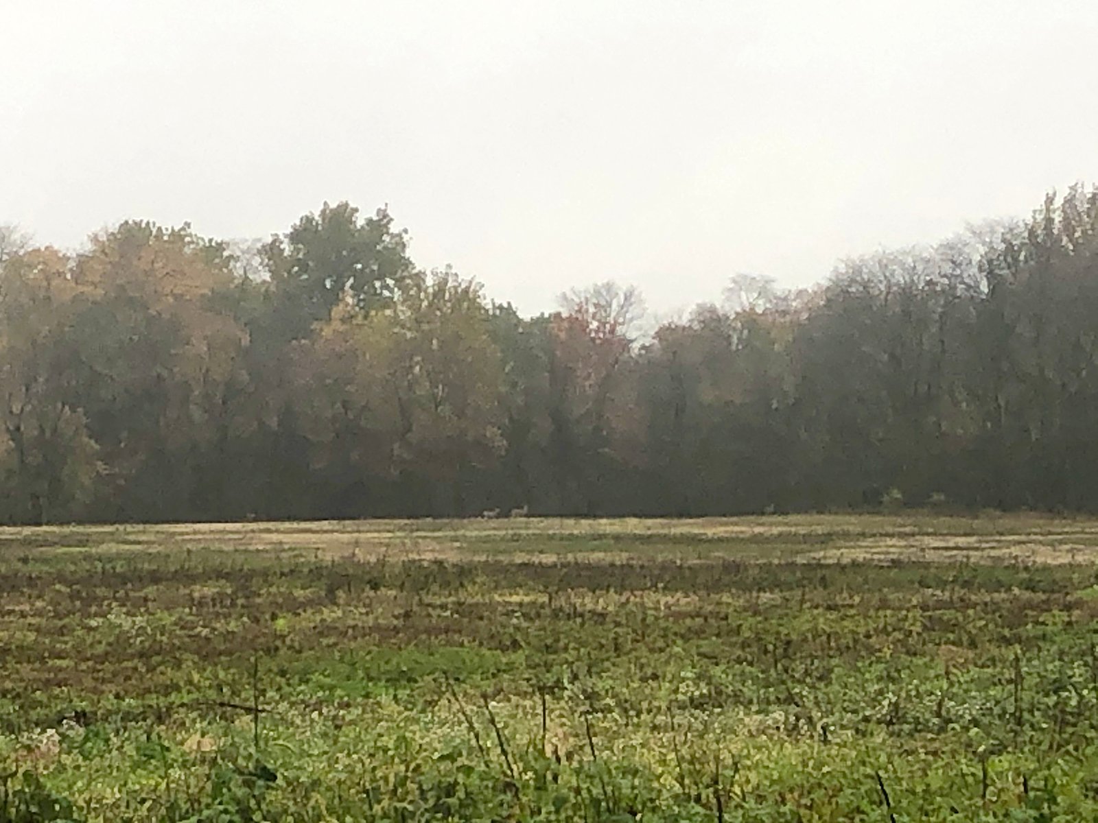 Crawford & Marion Counties, Ohio Farmland - IMPORTANT OHIO LAND AUCTION - 718+/- ACRES OFFERED IN 11 TRACTS IN MARION & CRAWFORD COUNTIES