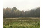 Crawford & Marion Counties, Ohio Farmland - IMPORTANT OHIO LAND AUCTION - 718+/- ACRES OFFERED IN 11 TRACTS IN MARION & CRAWFORD COUNTIES
