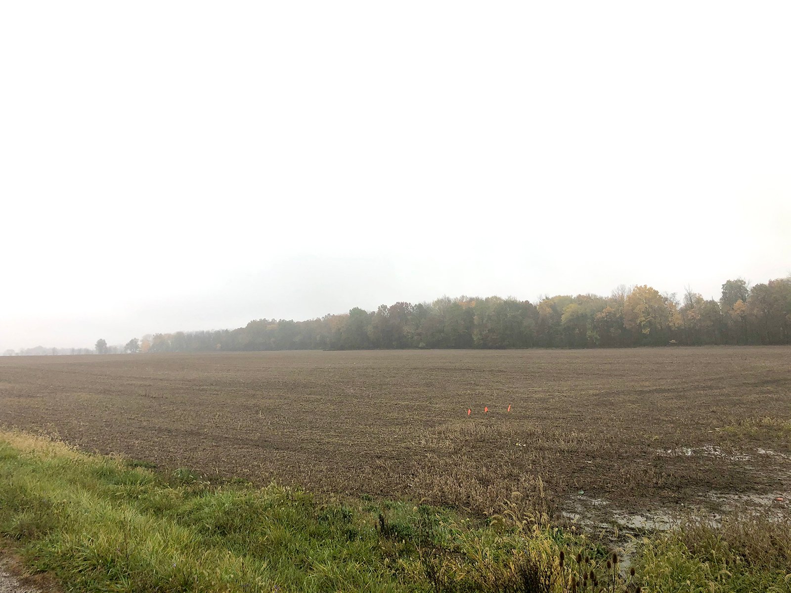 Crawford & Marion Counties, Ohio Farmland - IMPORTANT OHIO LAND AUCTION - 718+/- ACRES OFFERED IN 11 TRACTS IN MARION & CRAWFORD COUNTIES