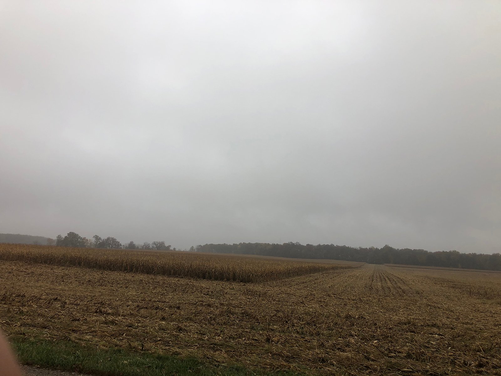 Crawford & Marion Counties, Ohio Farmland - IMPORTANT OHIO LAND AUCTION - 718+/- ACRES OFFERED IN 11 TRACTS IN MARION & CRAWFORD COUNTIES