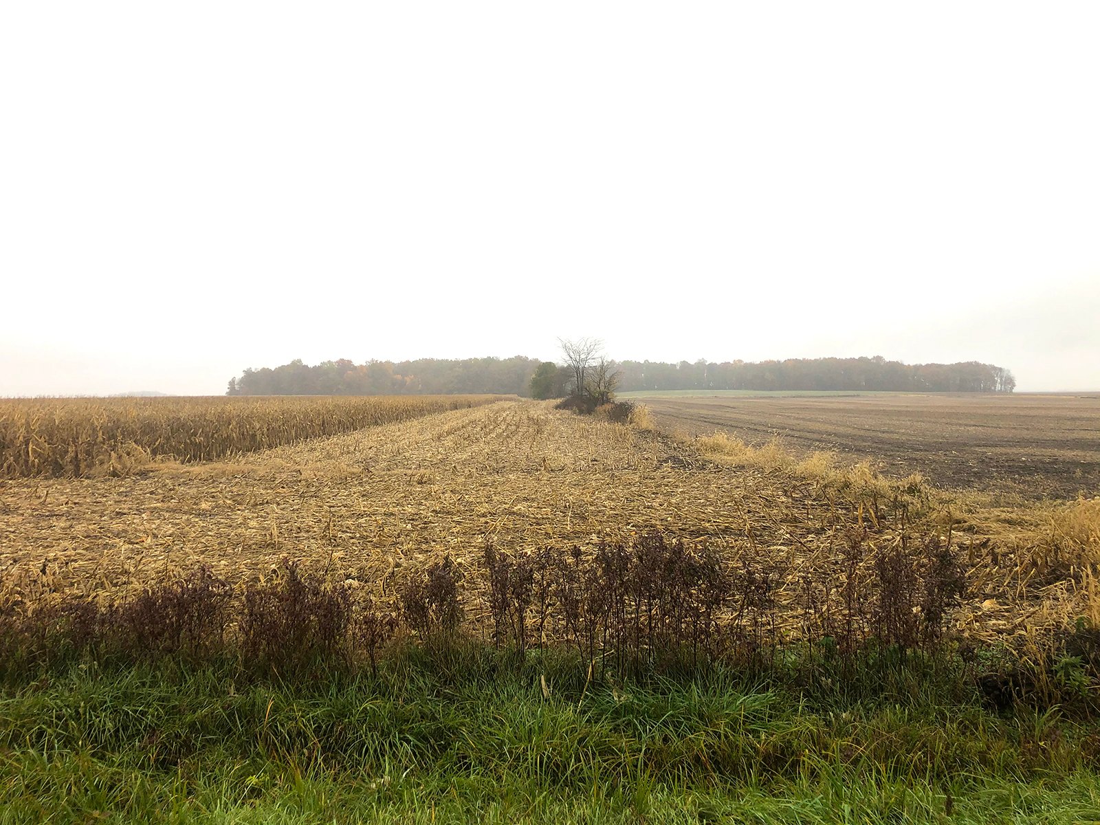 Crawford & Marion Counties, Ohio Farmland - IMPORTANT OHIO LAND AUCTION - 718+/- ACRES OFFERED IN 11 TRACTS IN MARION & CRAWFORD COUNTIES
