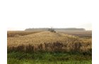 Crawford & Marion Counties, Ohio Farmland - IMPORTANT OHIO LAND AUCTION - 718+/- ACRES OFFERED IN 11 TRACTS IN MARION & CRAWFORD COUNTIES