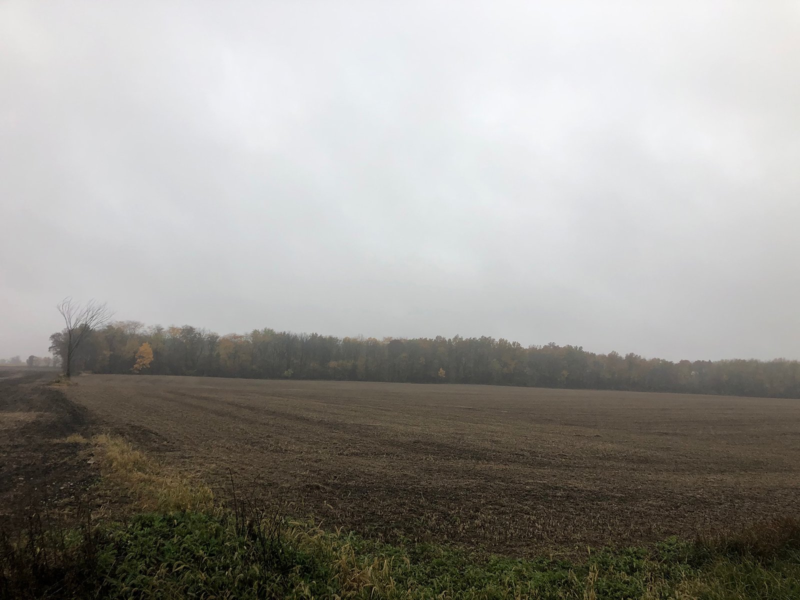 Crawford & Marion Counties, Ohio Farmland - IMPORTANT OHIO LAND AUCTION - 718+/- ACRES OFFERED IN 11 TRACTS IN MARION & CRAWFORD COUNTIES