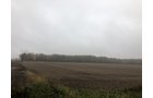 Crawford & Marion Counties, Ohio Farmland - IMPORTANT OHIO LAND AUCTION - 718+/- ACRES OFFERED IN 11 TRACTS IN MARION & CRAWFORD COUNTIES