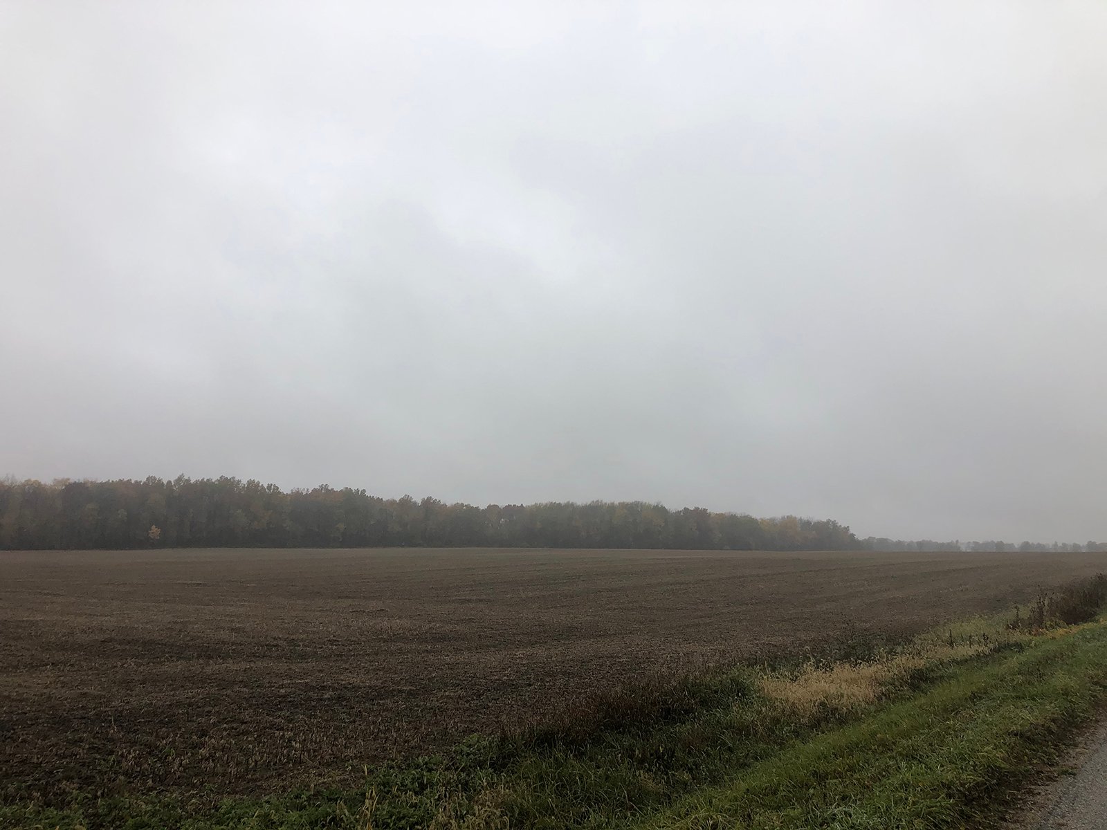 Crawford & Marion Counties, Ohio Farmland - IMPORTANT OHIO LAND AUCTION - 718+/- ACRES OFFERED IN 11 TRACTS IN MARION & CRAWFORD COUNTIES