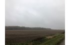 Crawford & Marion Counties, Ohio Farmland - IMPORTANT OHIO LAND AUCTION - 718+/- ACRES OFFERED IN 11 TRACTS IN MARION & CRAWFORD COUNTIES