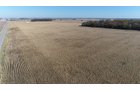 Crawford & Marion Counties, Ohio Farmland - IMPORTANT OHIO LAND AUCTION - 718+/- ACRES OFFERED IN 11 TRACTS IN MARION & CRAWFORD COUNTIES