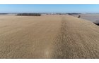Crawford & Marion Counties, Ohio Farmland - IMPORTANT OHIO LAND AUCTION - 718+/- ACRES OFFERED IN 11 TRACTS IN MARION & CRAWFORD COUNTIES