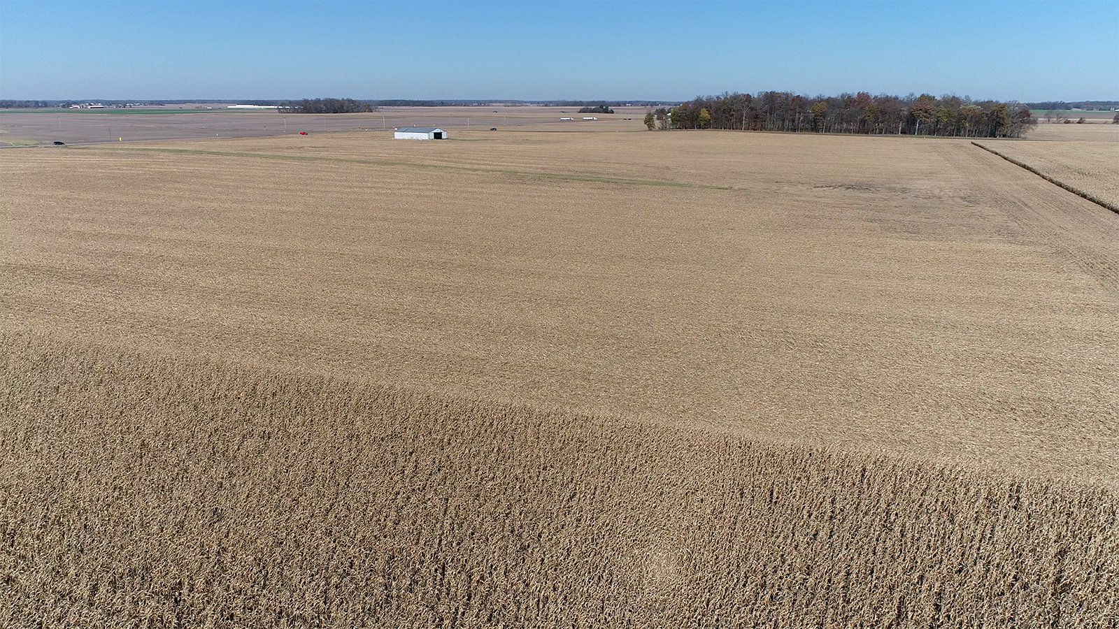 Crawford & Marion Counties, Ohio Farmland - IMPORTANT OHIO LAND AUCTION - 718+/- ACRES OFFERED IN 11 TRACTS IN MARION & CRAWFORD COUNTIES
