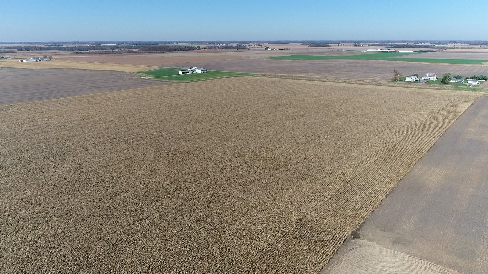 Crawford & Marion Counties, Ohio Farmland - IMPORTANT OHIO LAND AUCTION - 718+/- ACRES OFFERED IN 11 TRACTS IN MARION & CRAWFORD COUNTIES