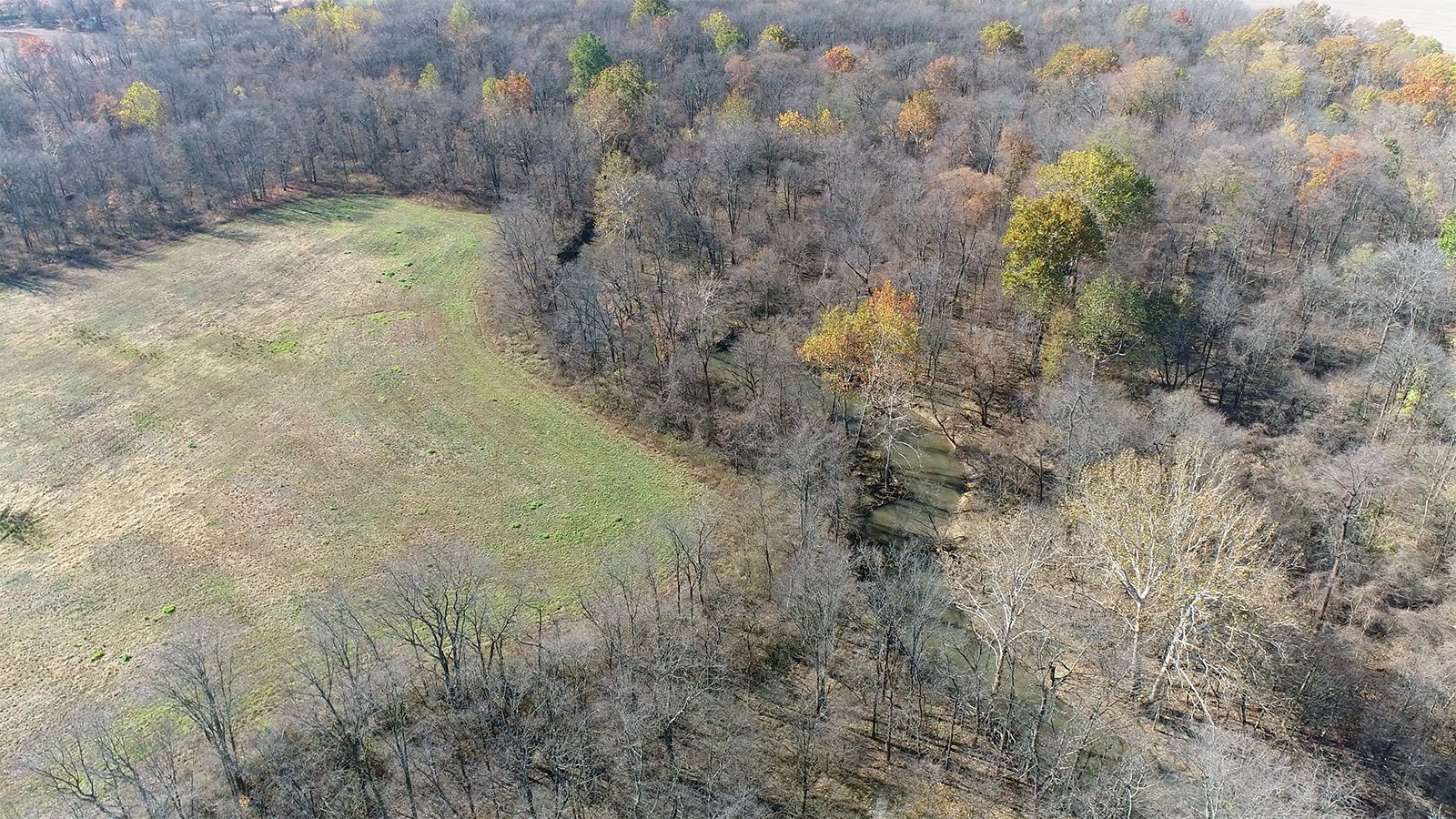 Crawford & Marion Counties, Ohio Farmland - IMPORTANT OHIO LAND AUCTION - 718+/- ACRES OFFERED IN 11 TRACTS IN MARION & CRAWFORD COUNTIES