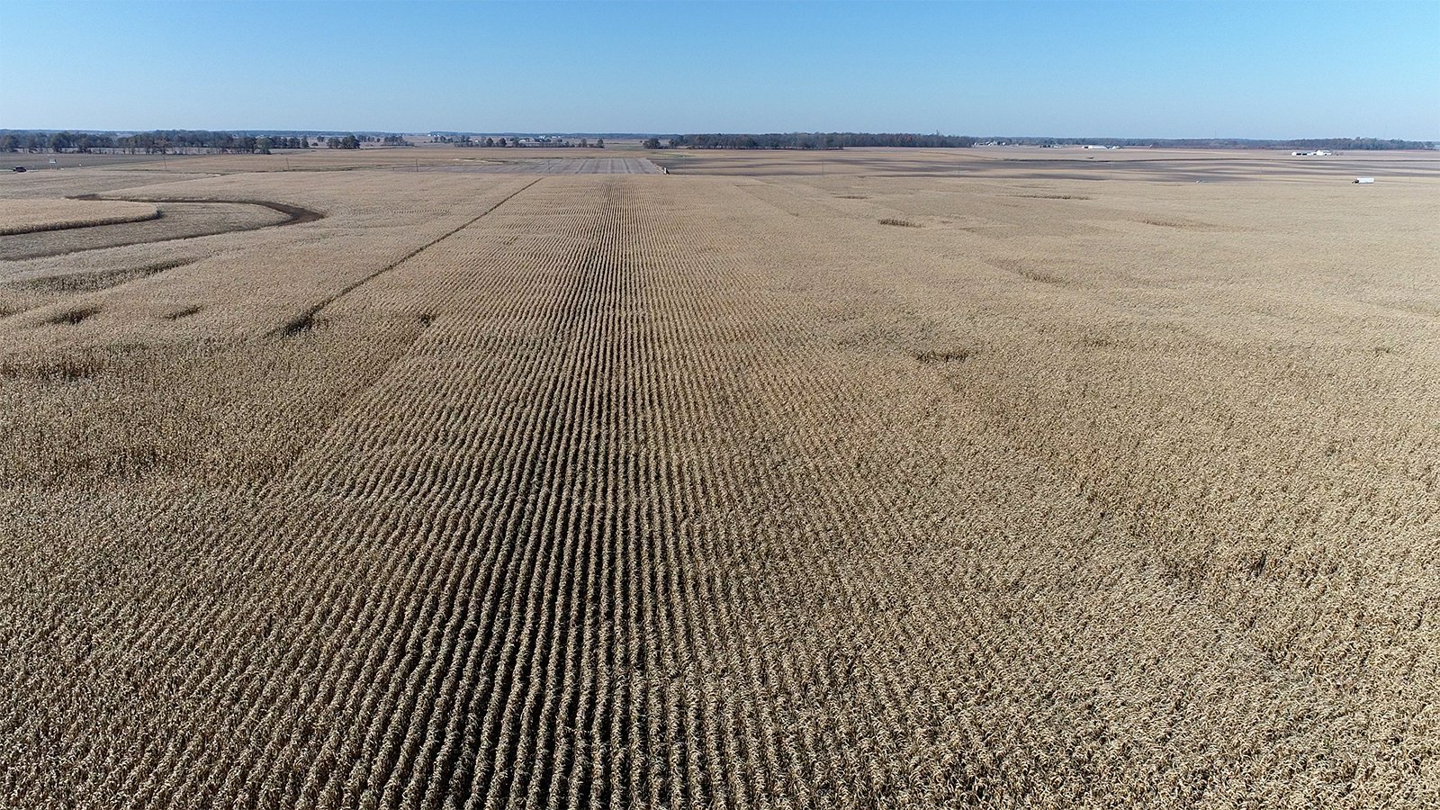 Crawford & Marion Counties, Ohio Farmland - IMPORTANT OHIO LAND AUCTION - 718+/- ACRES OFFERED IN 11 TRACTS IN MARION & CRAWFORD COUNTIES