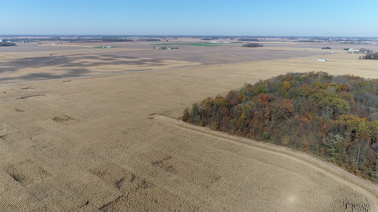 Crawford & Marion Counties, Ohio Farmland - IMPORTANT OHIO LAND AUCTION - 718+/- ACRES OFFERED IN 11 TRACTS IN MARION & CRAWFORD COUNTIES