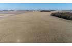Crawford & Marion Counties, Ohio Farmland - IMPORTANT OHIO LAND AUCTION - 718+/- ACRES OFFERED IN 11 TRACTS IN MARION & CRAWFORD COUNTIES