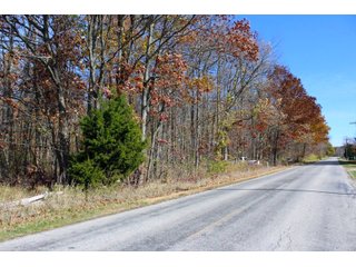 Woods in Kosciusko County, Indiana - ONLINE ONLY - REAL ESTATE AUCTION - 2 TRACTS IN KOSCIUSKO COUNTY, INDIANA