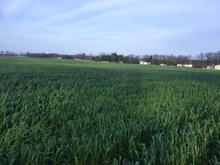 Kalamazoo County, Michigan Farmland - VIRTUAL REAL ESTATE & PERSONAL PROPERTY AUCTIONS - 69+/- ACRES IN 2 TRACTS IN KALAMAZOO COUNTY, MICHIGAN