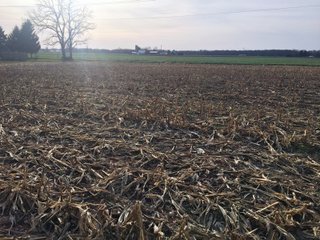 Kalamazoo County, Michigan Farmland - VIRTUAL REAL ESTATE & PERSONAL PROPERTY AUCTIONS - 69+/- ACRES IN 2 TRACTS IN KALAMAZOO COUNTY, MICHIGAN