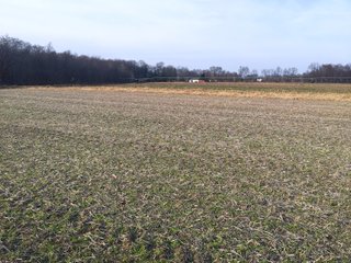 Kalamazoo County, Michigan Farmland - VIRTUAL REAL ESTATE & PERSONAL PROPERTY AUCTIONS - 69+/- ACRES IN 2 TRACTS IN KALAMAZOO COUNTY, MICHIGAN
