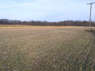 Kalamazoo County, Michigan Farmland - VIRTUAL REAL ESTATE & PERSONAL PROPERTY AUCTIONS - 69+/- ACRES IN 2 TRACTS IN KALAMAZOO COUNTY, MICHIGAN