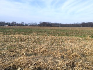 Kalamazoo County, Michigan Farmland - VIRTUAL REAL ESTATE & PERSONAL PROPERTY AUCTIONS - 69+/- ACRES IN 2 TRACTS IN KALAMAZOO COUNTY, MICHIGAN