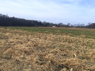 Kalamazoo County, Michigan Farmland - VIRTUAL REAL ESTATE & PERSONAL PROPERTY AUCTIONS - 69+/- ACRES IN 2 TRACTS IN KALAMAZOO COUNTY, MICHIGAN