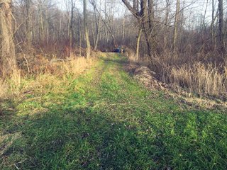 Kalamazoo County, Michigan Farmland - VIRTUAL REAL ESTATE & PERSONAL PROPERTY AUCTIONS - 69+/- ACRES IN 2 TRACTS IN KALAMAZOO COUNTY, MICHIGAN