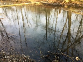 Kalamazoo County, Michigan Farmland - VIRTUAL REAL ESTATE & PERSONAL PROPERTY AUCTIONS - 69+/- ACRES IN 2 TRACTS IN KALAMAZOO COUNTY, MICHIGAN