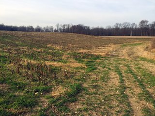 Kalamazoo County, Michigan Farmland - VIRTUAL REAL ESTATE & PERSONAL PROPERTY AUCTIONS - 69+/- ACRES IN 2 TRACTS IN KALAMAZOO COUNTY, MICHIGAN